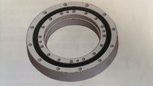 Σειρά SHG (SHF) Harmonic Drive Bearing